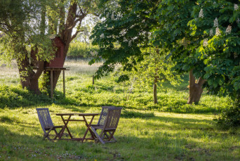 Sophrologie : Gestion du stress et émotions à Taverny, Val d'oise