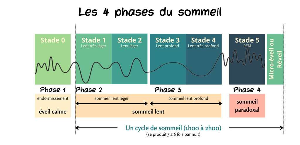 Cycle de sommeil pour mieux dormir